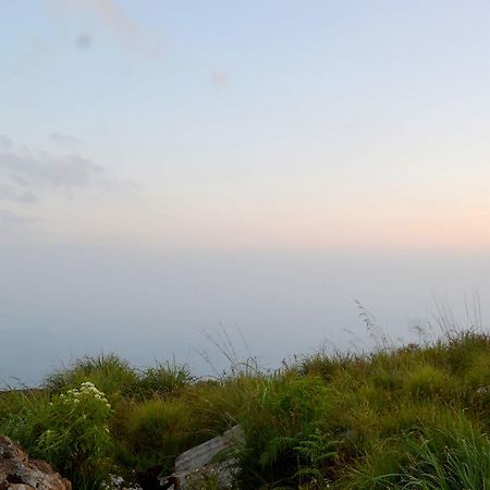 Olive Hill Top Hotel ฮาปูตาเล ภายนอก รูปภาพ