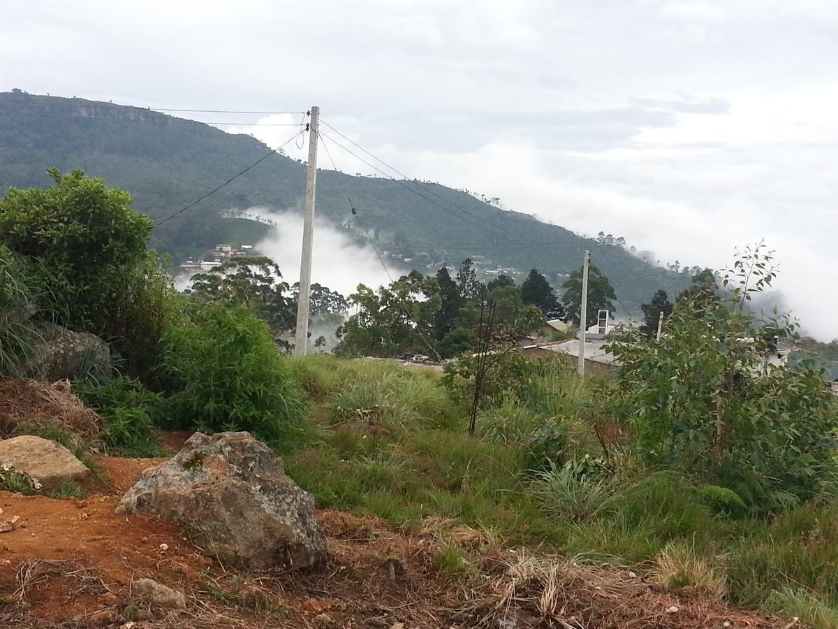Olive Hill Top Hotel ฮาปูตาเล ภายนอก รูปภาพ