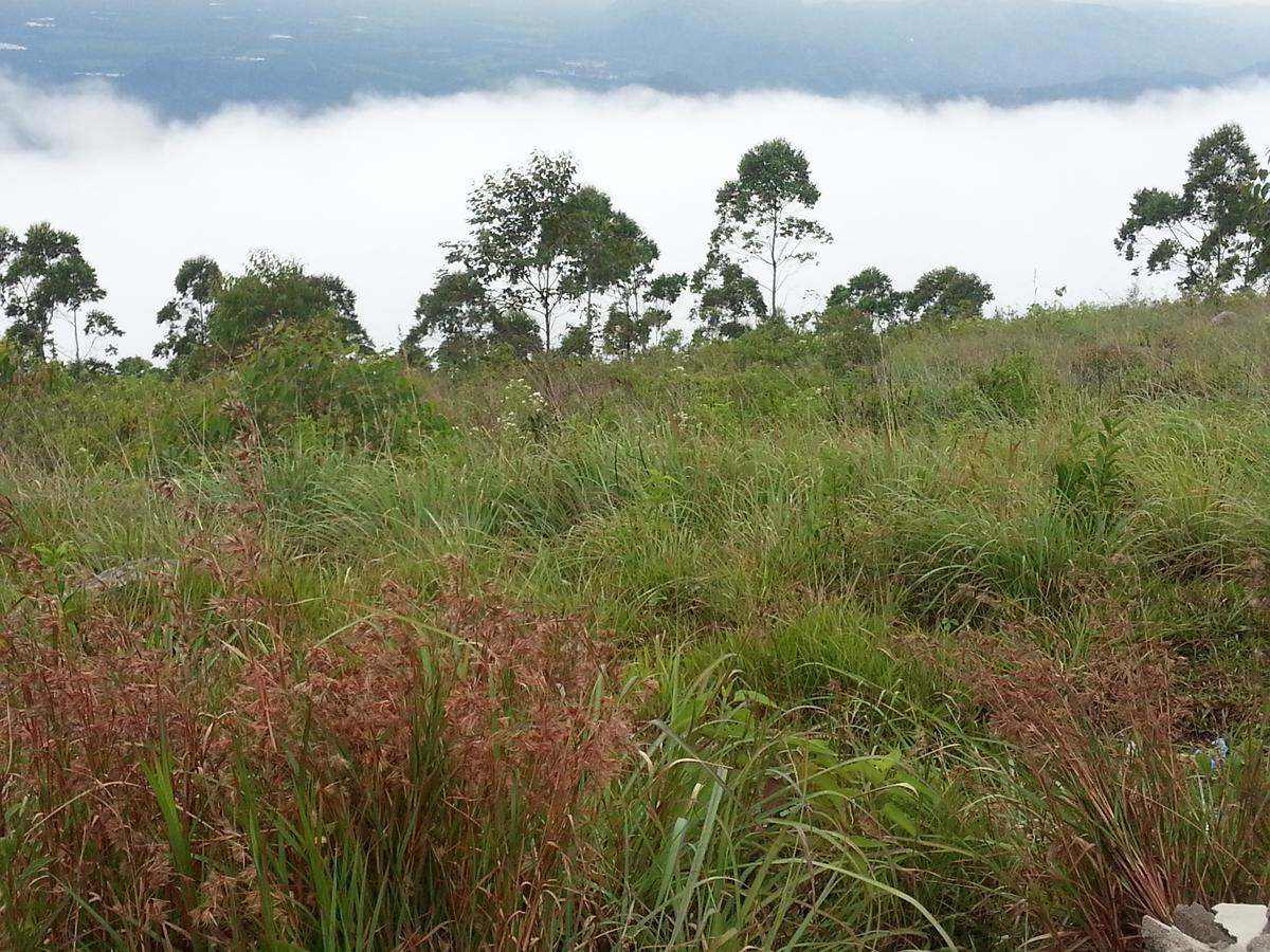 Olive Hill Top Hotel ฮาปูตาเล ภายนอก รูปภาพ